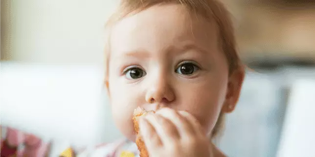 Navigating Toddler Nutrition: Strategies for Healthy Eating