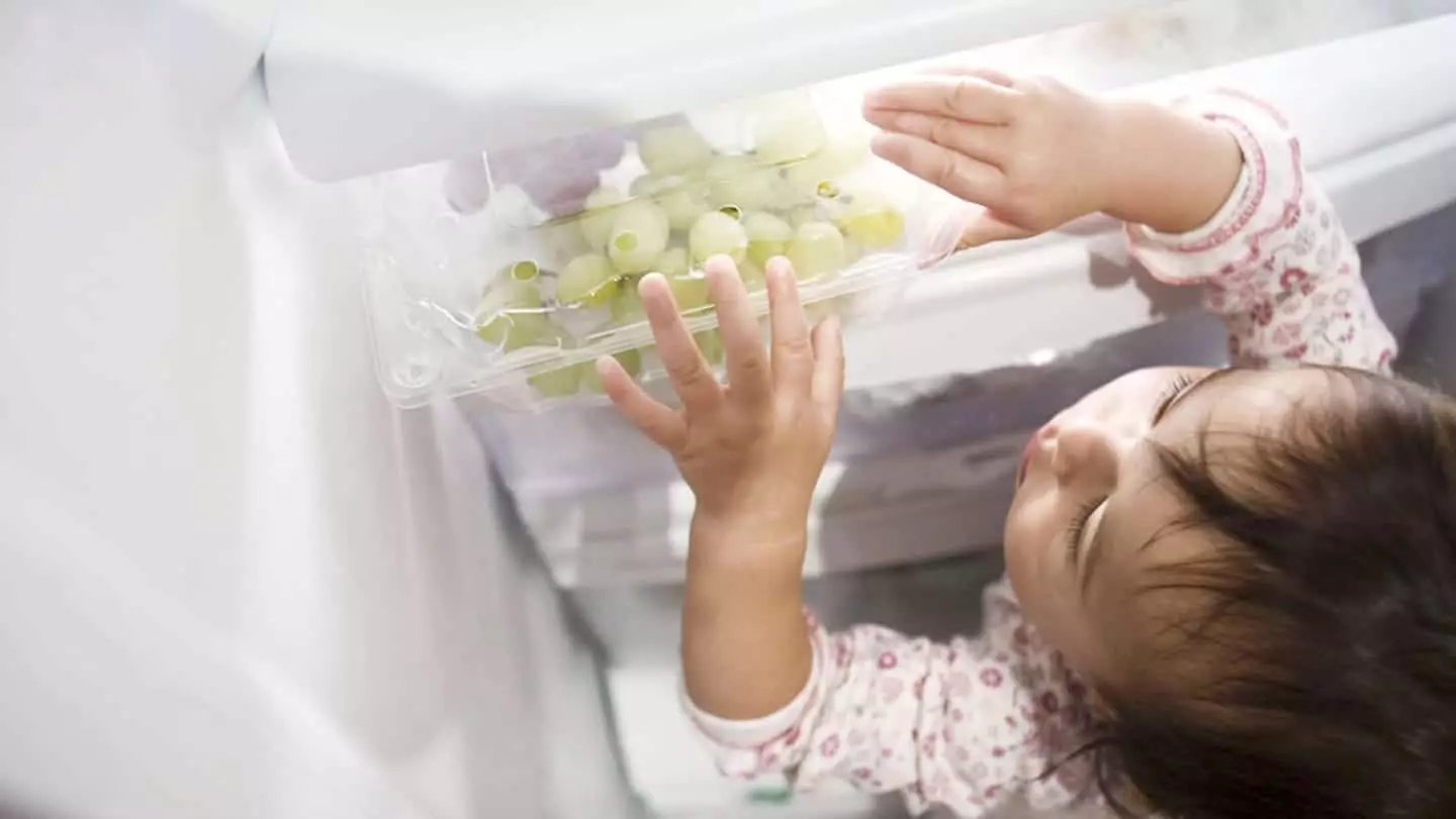 Navigating Toddler Nutrition: Ensuring Safe Eating Practices